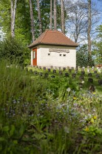 Sehensw&uuml;rdigkeiten MV (3)